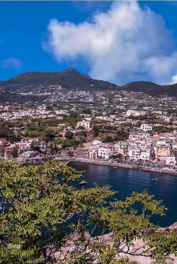 La Finestra Sul Mare Bed & Breakfast Ischia Ngoại thất bức ảnh